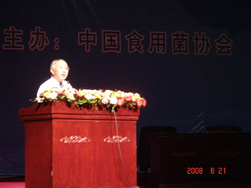 新太阳城 新太阳城